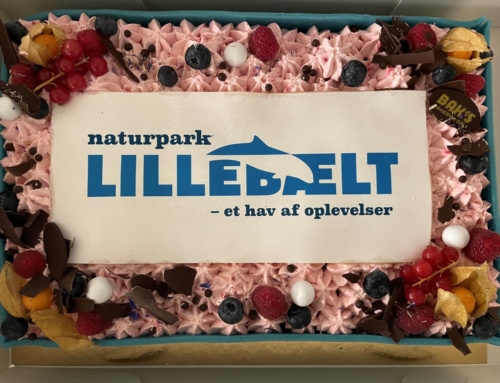 Naturpark Lillebælt afholdte ambassadørdag på fødselsdag