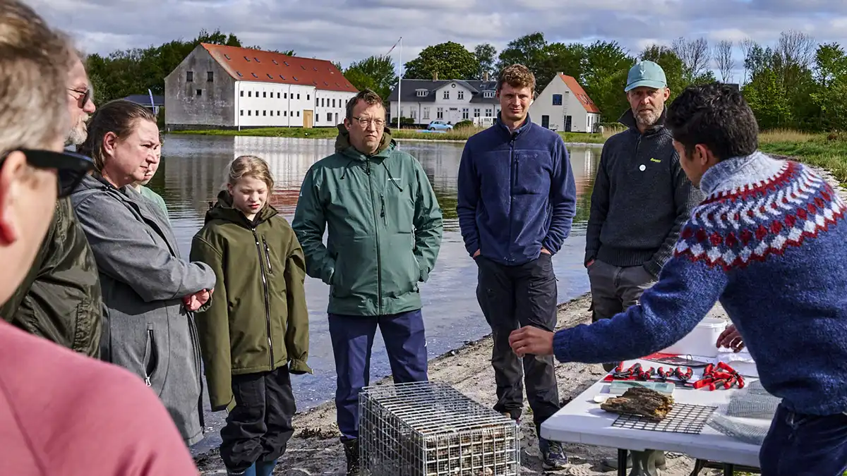 Fiskebørnehave instruktion