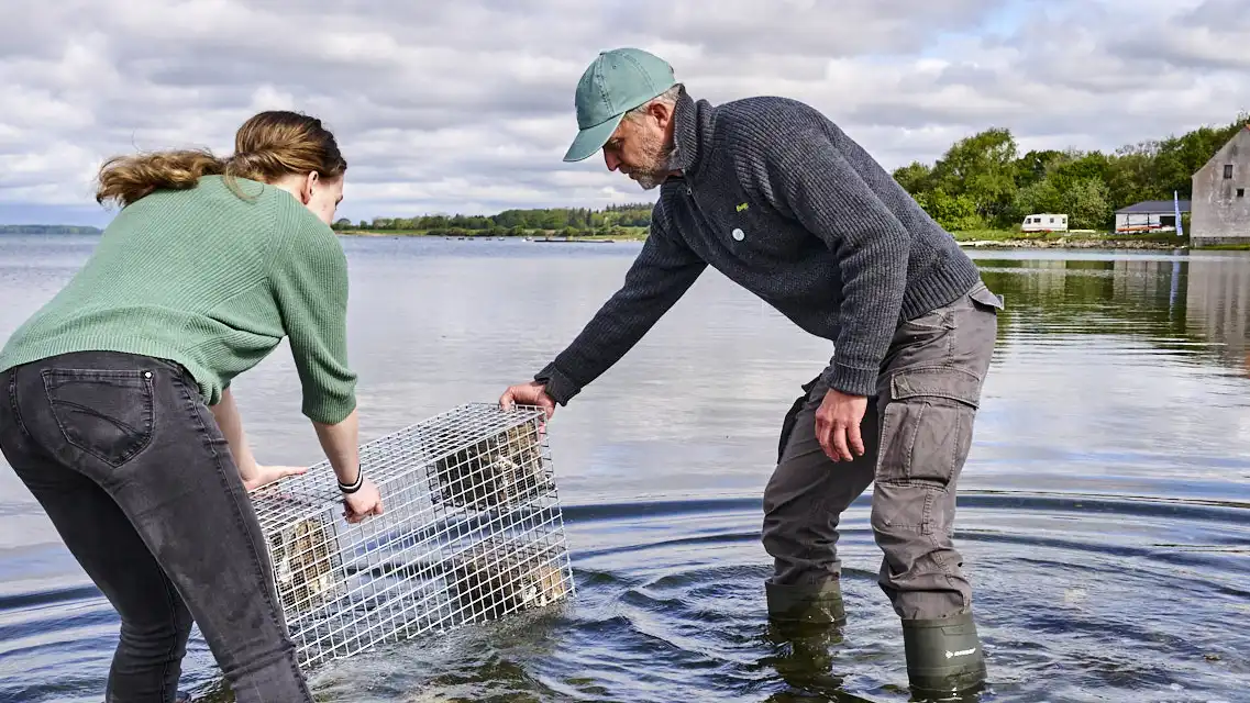 ålegræs fiskebørnehave